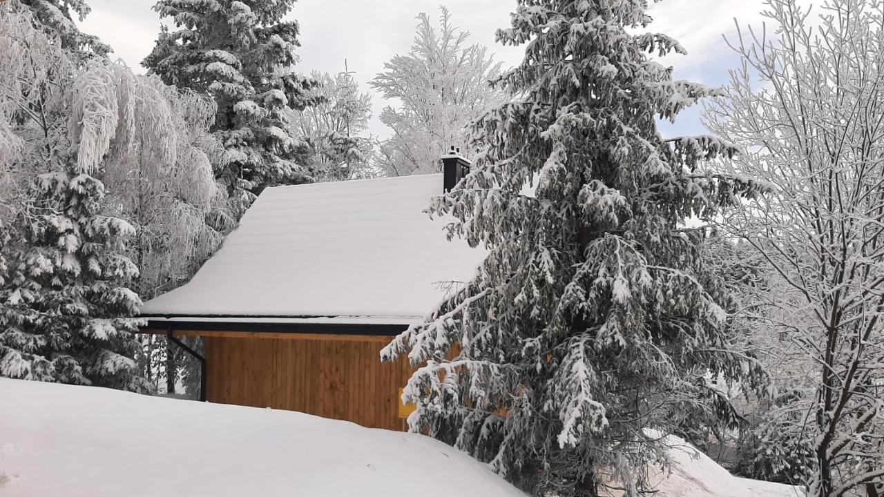 Вилла Domki Krynica Экстерьер фото