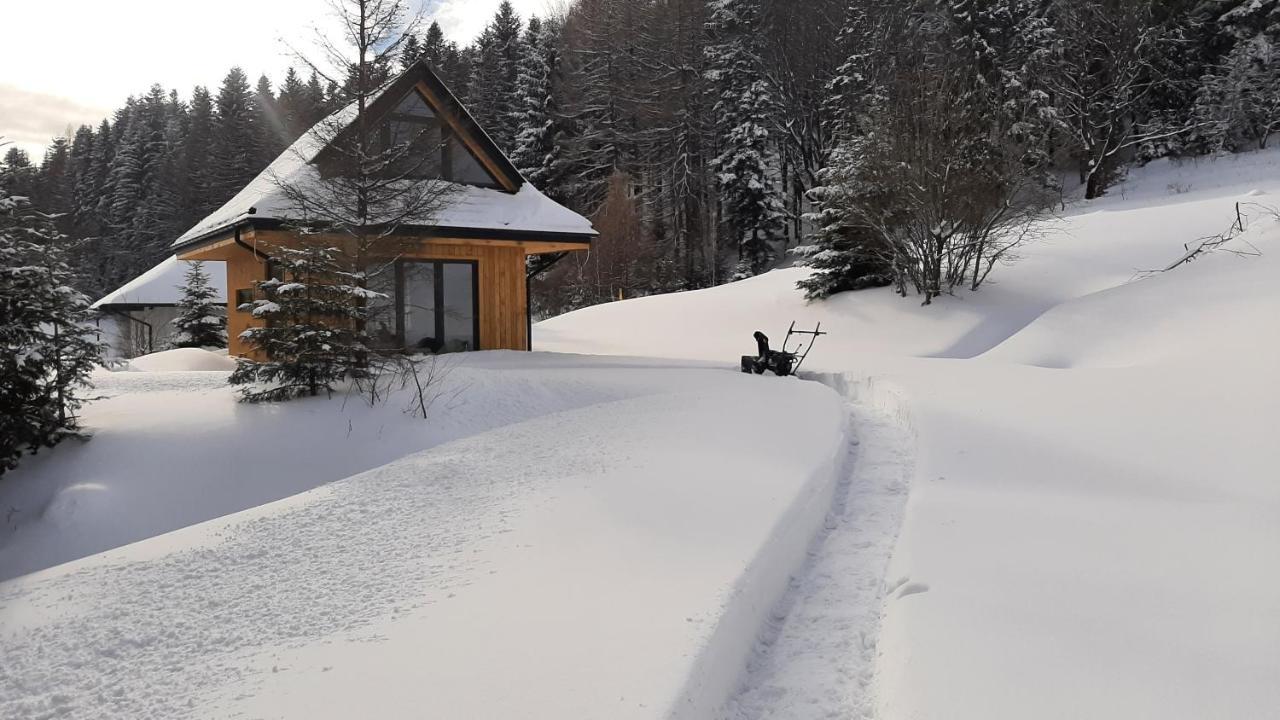 Вилла Domki Krynica Экстерьер фото