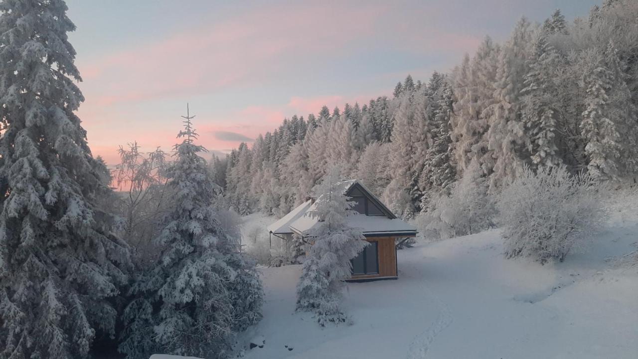 Вилла Domki Krynica Экстерьер фото