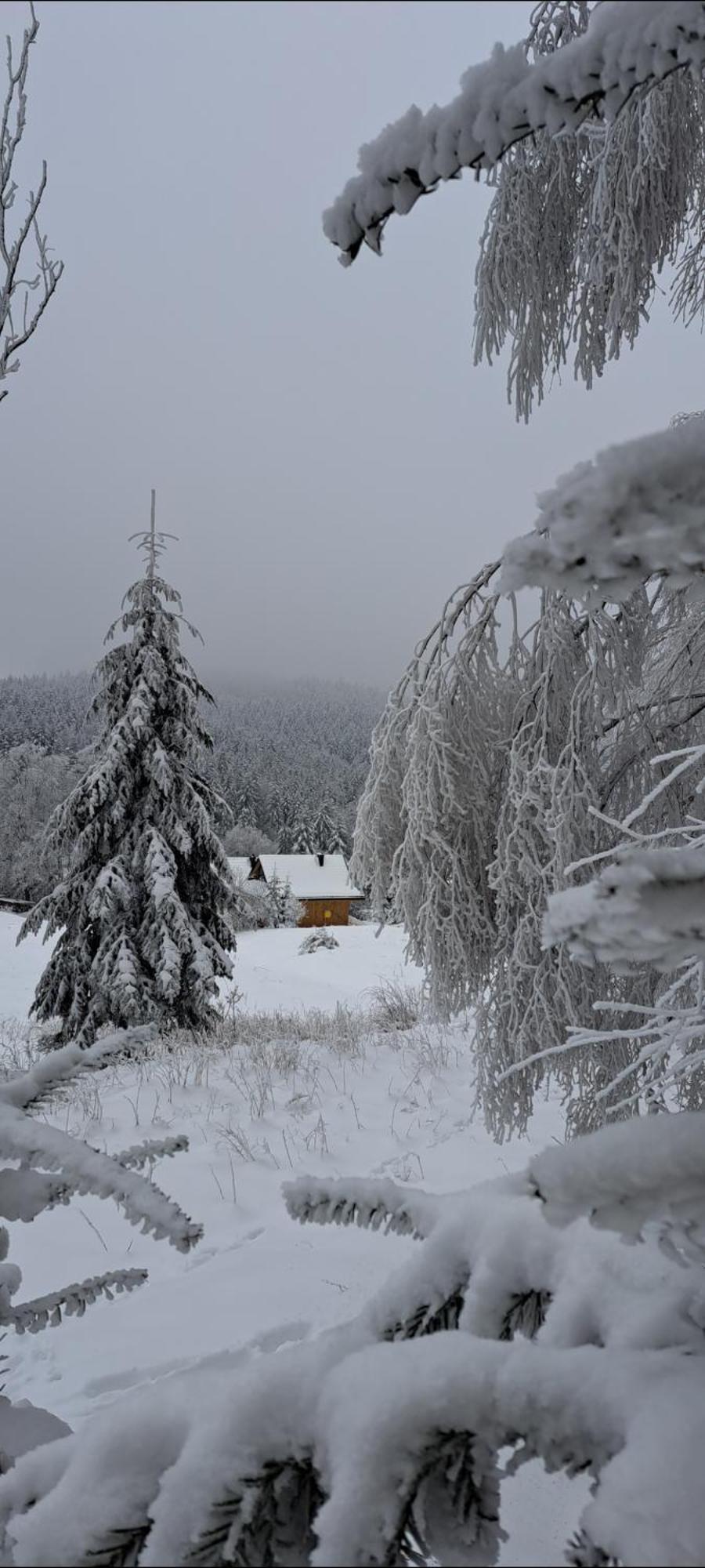 Вилла Domki Krynica Экстерьер фото